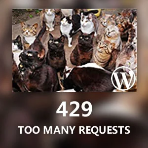 The cover of "INN WP 资源加速器"