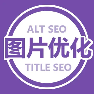 The cover of "INN 文章图片 SEO 优化器"